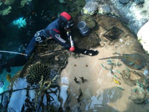 Oceanario_Lisboa